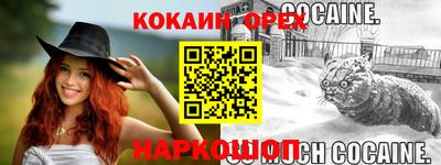 меф Кингисепп