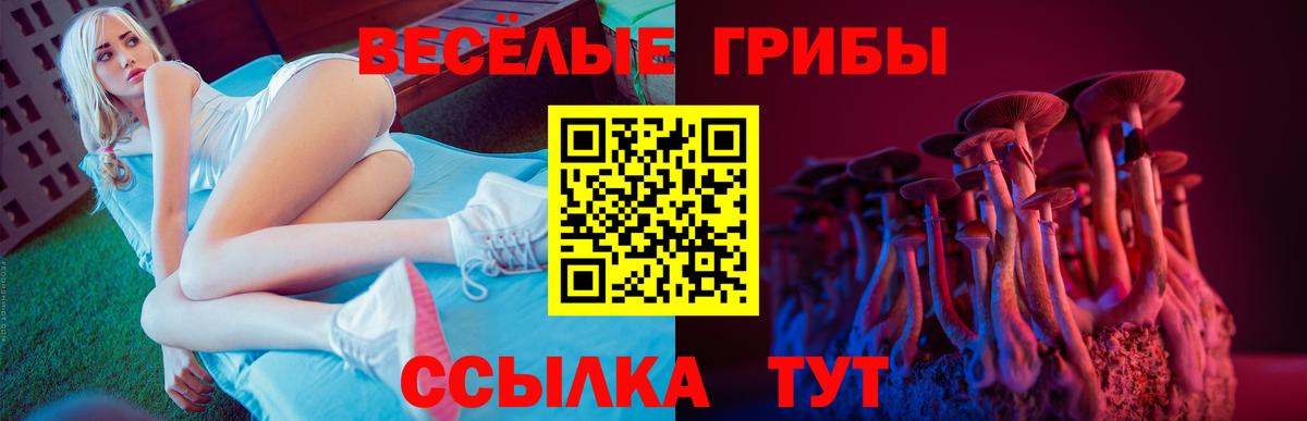 Галлюциногенные грибы GOLDEN TEACHER Щёлково